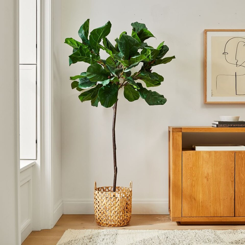 Open Weave Zigzag Baskets West Elm Australia